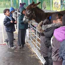 Fishers Mobile Farm @ Irk Valley Primary School, Manchester